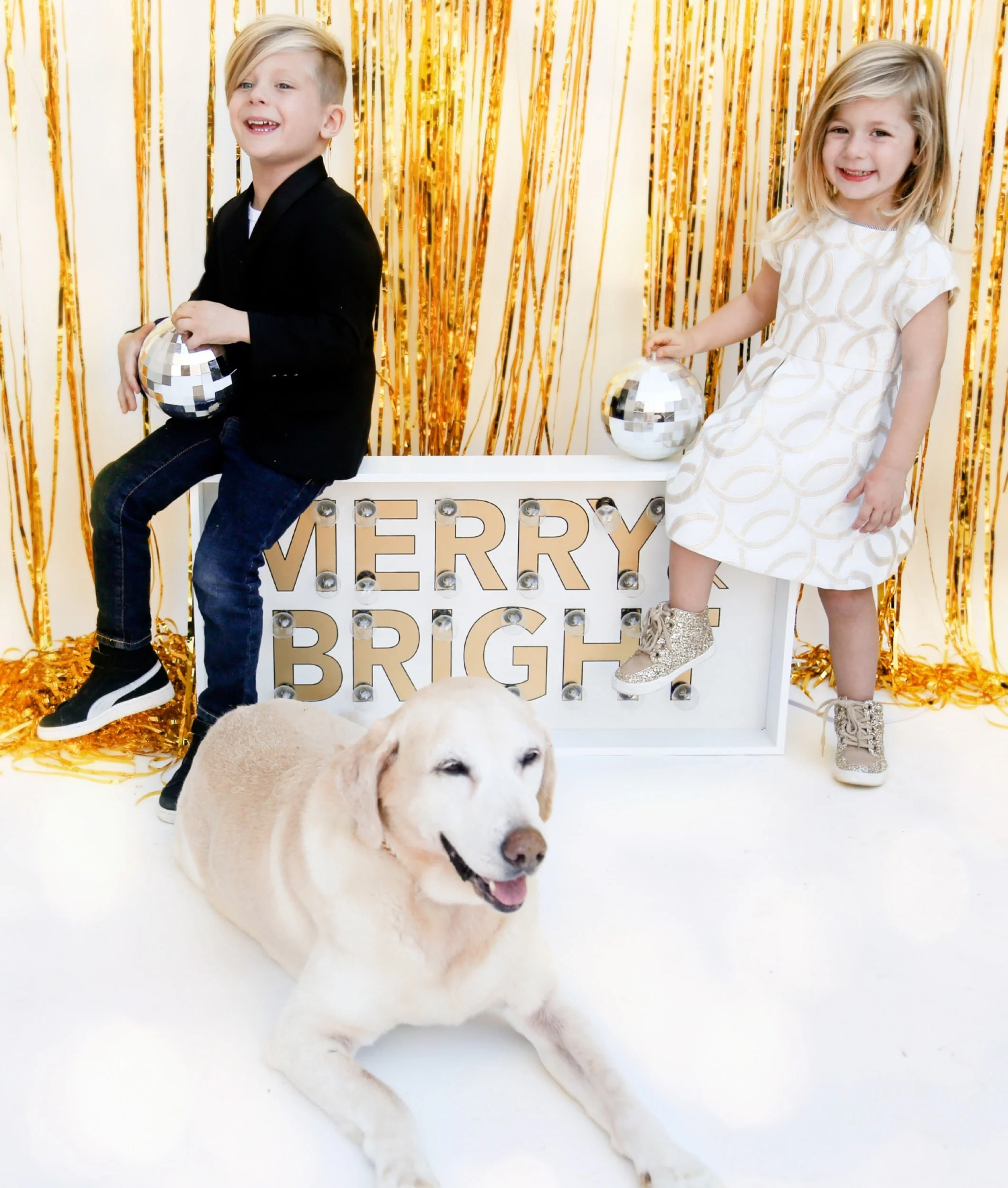 Christmas Family Portraits San Diego 5